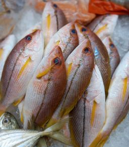 Kee Fish 记鱼 ( 1Kg )