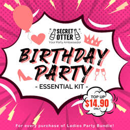 Birthday Party Essential Kit Bundle