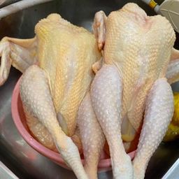 菜园鸡1.7Kg左右