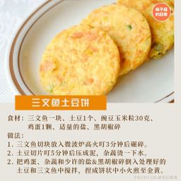 Fillet Norwegian Salmon  诺威三文鱼肉