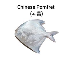 Chinese Pomfret (斗昌)