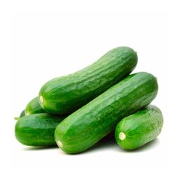 Cucumber