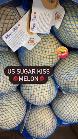 US SUGAR KISS MELON (M)