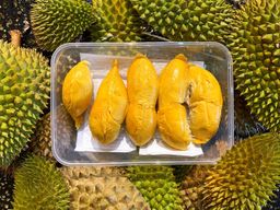 10kg Johor Redprawn D13