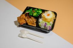 Mixed Grilled and Fried Combo Rice Bento 