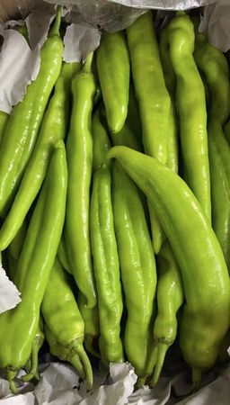 🌶羊角椒 -$7/1kg