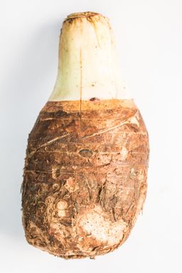 Yam, Tapioca, Chinese Turnips - 芋头, 木薯, 芜菁