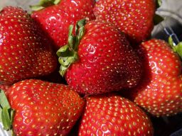 AUS STRAWBERRY 澳洲大草莓 