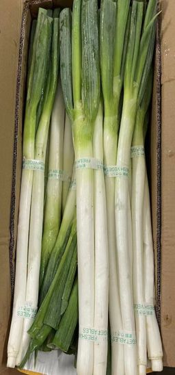 新鲜北葱 -$5/3把