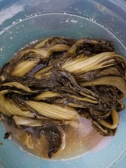 PICKLED MUSTARD / SAYUR MASIN 腌酸菜