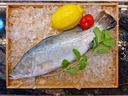 Seabass from Kukup 龟咯金目路