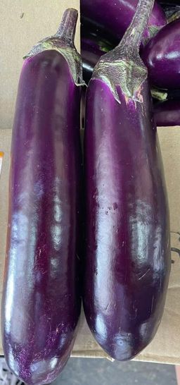 🍆茄子 -$4.8/1kg