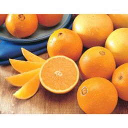 SUNKIST ORANGE 肉橙【5PCS】
