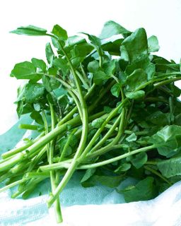 Water Cress - 水芹