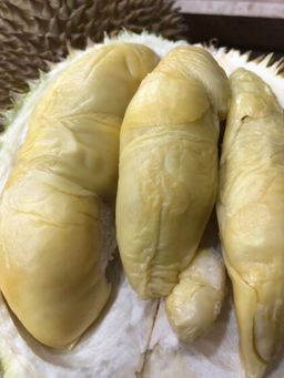 Jin Feng 金凤 (400g)