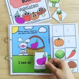 Interactive Vocabulary Books Volume 1