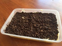 Oreo Cheesekut (Big)