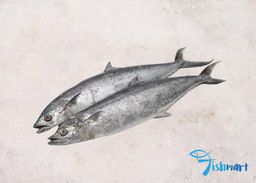 1kg Tenggiri Fillet 马交鱼