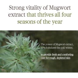 Pyunkang Yul Black Tea Enriched Cream 60ml