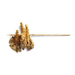 Oyster Mushroom BBQ Stick 蚝菇烤串
