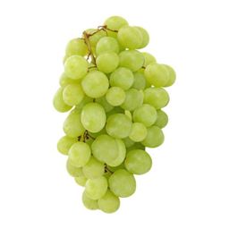 Green Grapes 500g/Punnet - 青葡萄 500g