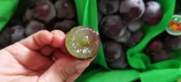 🍇辽宁巨峰葡萄 Grapes -$22/1箱/2kg左右
