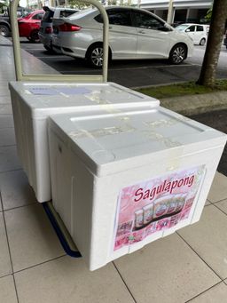 Foam Box + ice packs 