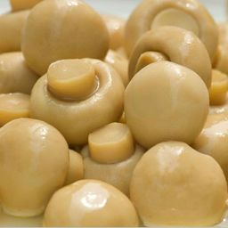 *Button Mushroom (2Pcs)* 蘑菇粒