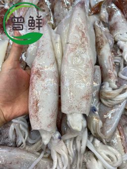 苏东 Squid