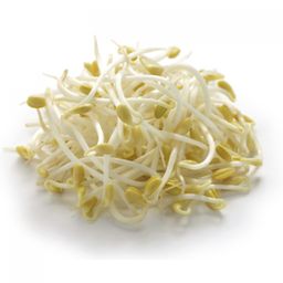 Pea spourts and Bean Spourts - 豆苗 和 豆芽