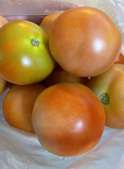🍅 番茄 -$4/1kg