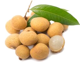 Longan - 龙眼 