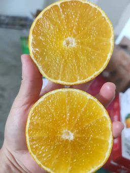 🍊爱媛橙 -$13/2kg