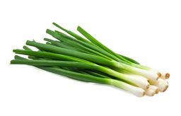 Onions (RED, Yellow, Shallots, Scallion, Spring Onion) - 洋葱, 大葱, 青葱