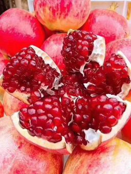 SOFT POMOGRANATE 软籽红石榴 【 1 PC 】