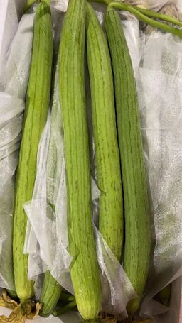 中国长丝瓜 -$7/1kg