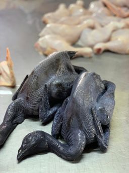[PRE ORDER] Black Chicken (Whole)