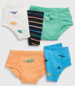 Organic Cotton Dino Briefs 5 pack