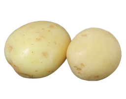 White Washed Potatoes (400g to 500g) - 马铃薯