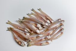 速冻鱼水产 Fish & Fillets