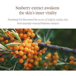 Pyunkang Yul Black Tea Boosting Serum 45ml