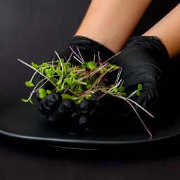 In Stock Items (Available immedietly)