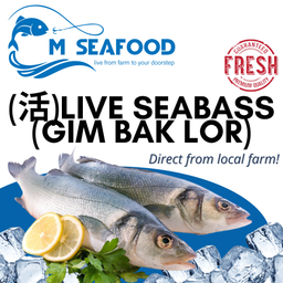 Live Seabass (活金目鲈) 