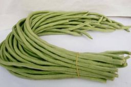 长豆角 -$5.5/1捆/1kg