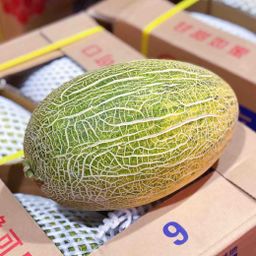 86 王 MELON 【1PC】