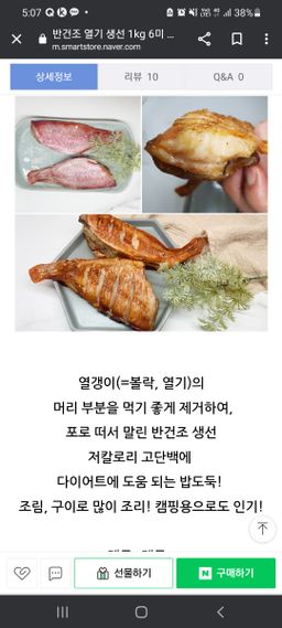 속초 두절열기포 (2마리) *