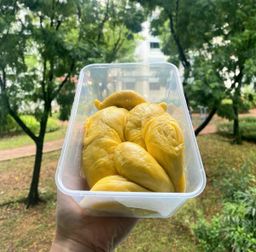 Mao Shan Wang 猫山王 (400g)