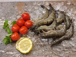 Fresh Tiger Prawns 老虎虾