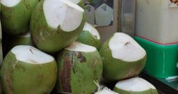 马来西亚清凉椰子 MY Coconut (1pcs)