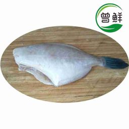 耗儿鱼/竹仔鱼 Leatherjacket